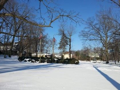 Flags Stand Tall in a Winter Clearing