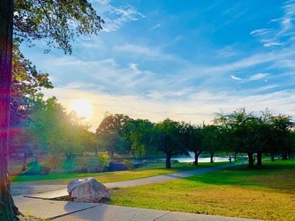 Sun Rising over a Park Clearing