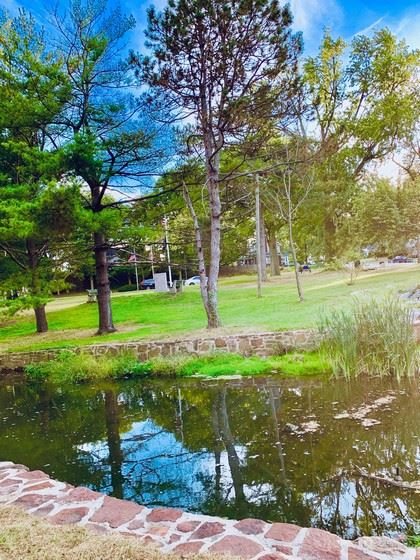 Gentle Stream Runs Through a Park Area
